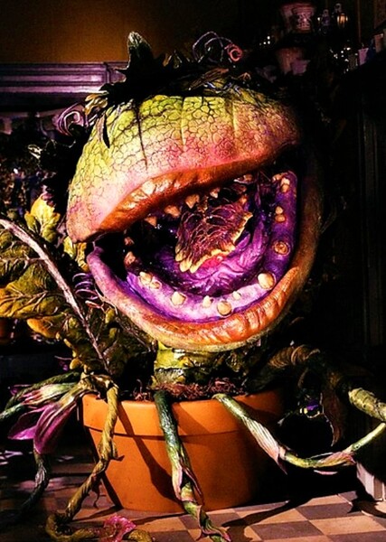 Audrey II photo