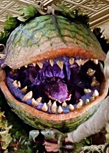 Audrey II photo