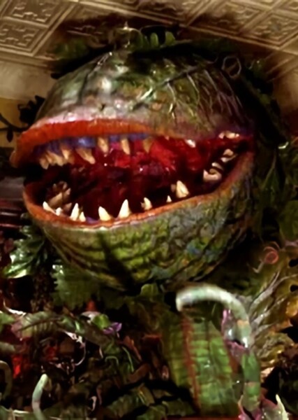 Audrey II photo