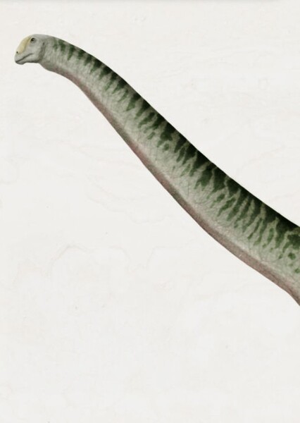 Australodocus