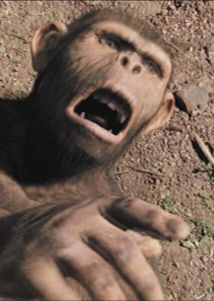 Australopithecus photo