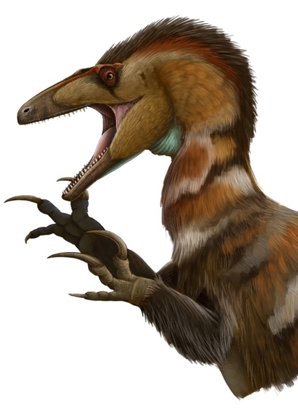 Australovenator photo