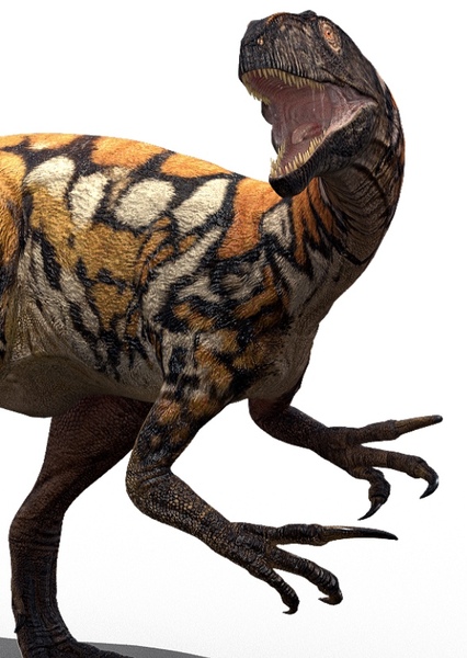 Australovenator photo