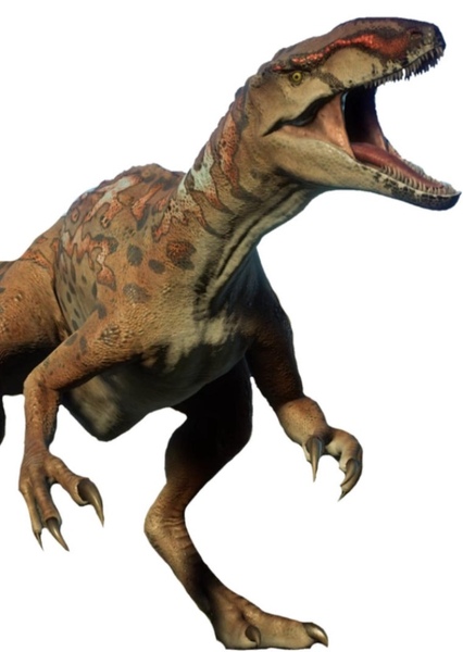 Australovenator photo