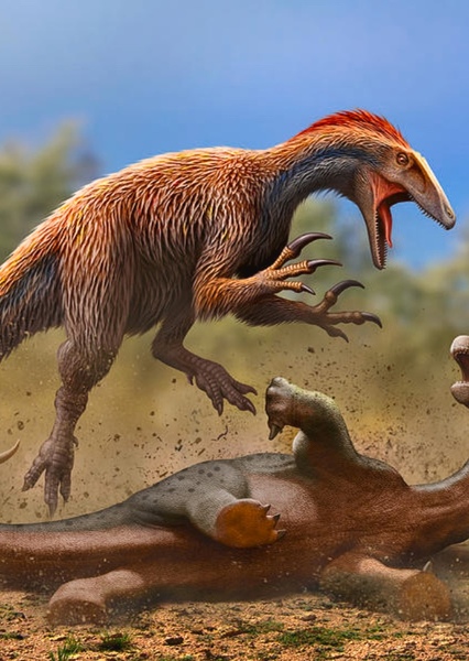 Australovenator photo