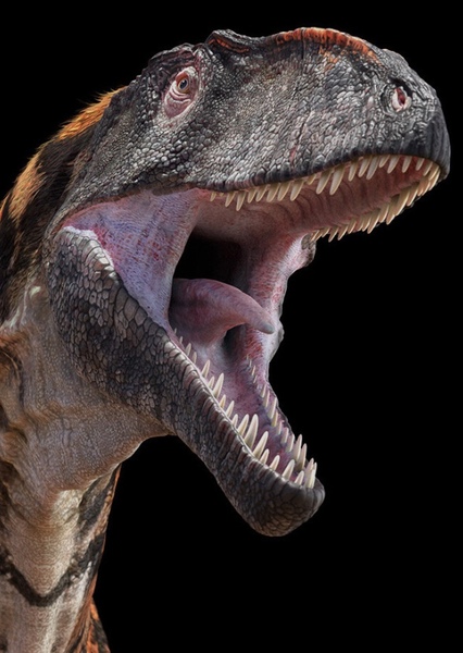 Australovenator photo