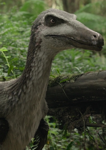 Austroraptor photo