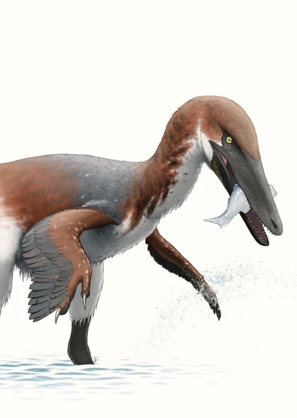 Austroraptor photo