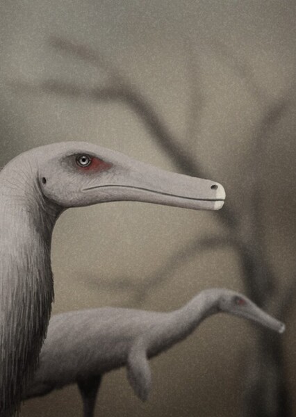 Austroraptor photo