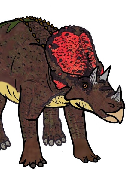 Avaceratops photo