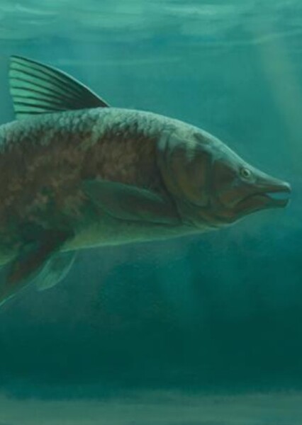 Axelrodichthys