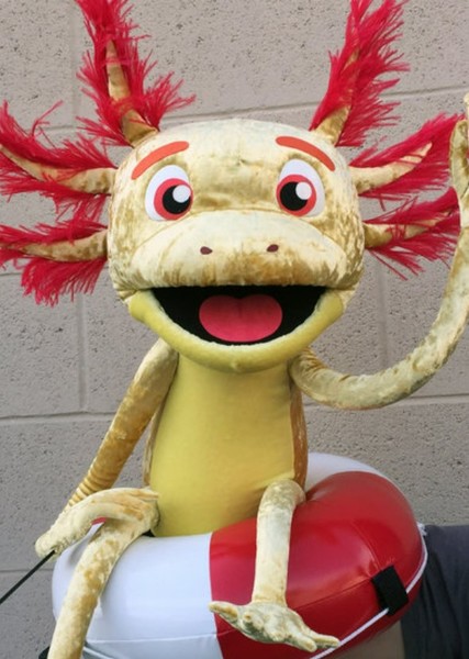 Axl The axolotl