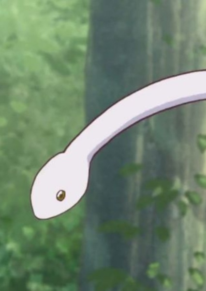 Ayame Sohma photo