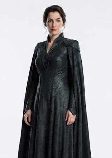 Ayelet Zurer photo