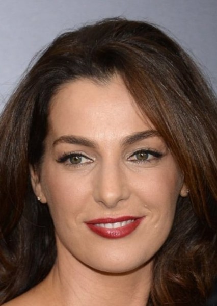 Ayelet Zurer photo