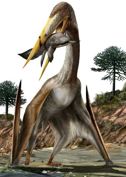 Azhdarchidae