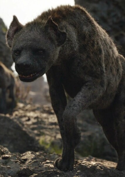 Azizi (The Lion King) photo