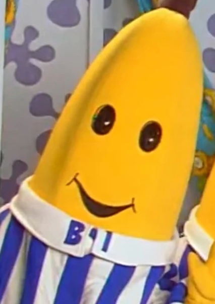 B1 photo