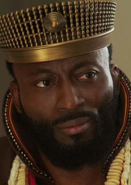 Babs Olusanmokun photo