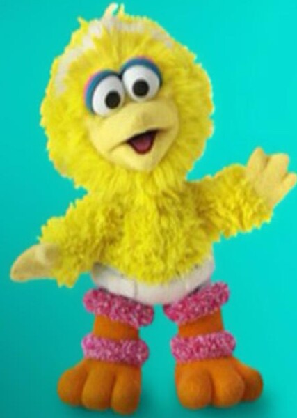 Baby Big Bird