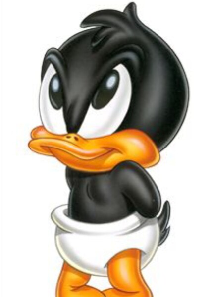 Baby Daffy