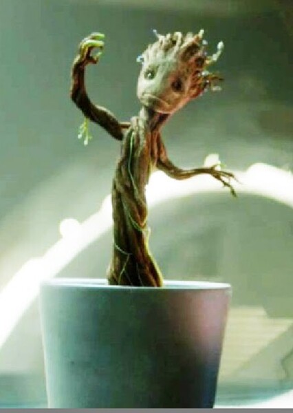 Baby Groot