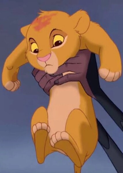 Baby Simba