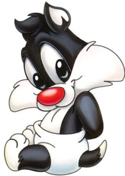 Baby Sylvester photo