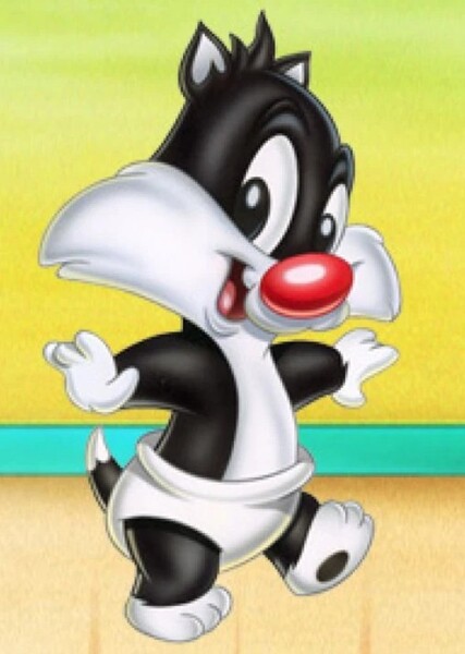 Baby Sylvester photo