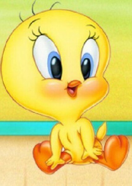 Baby Tweety photo