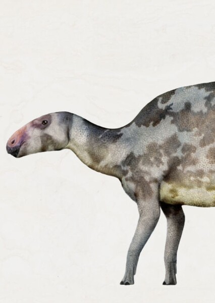 Bactrosaurus