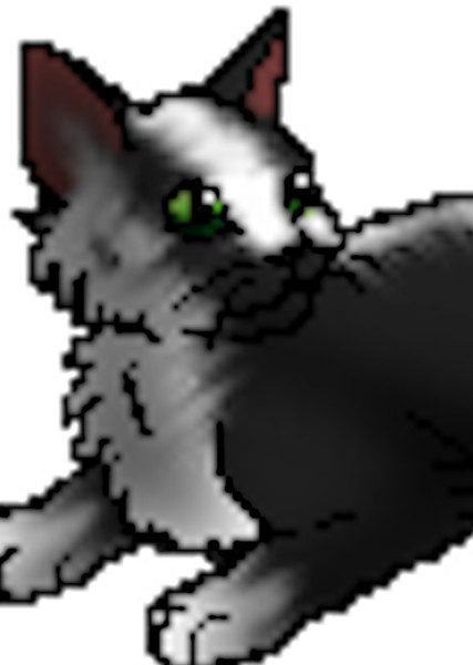 Badgerfang (Warrior Cats) photo