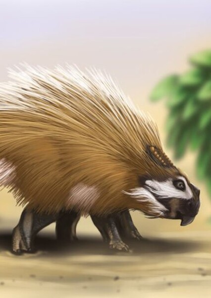 Bagaceratops