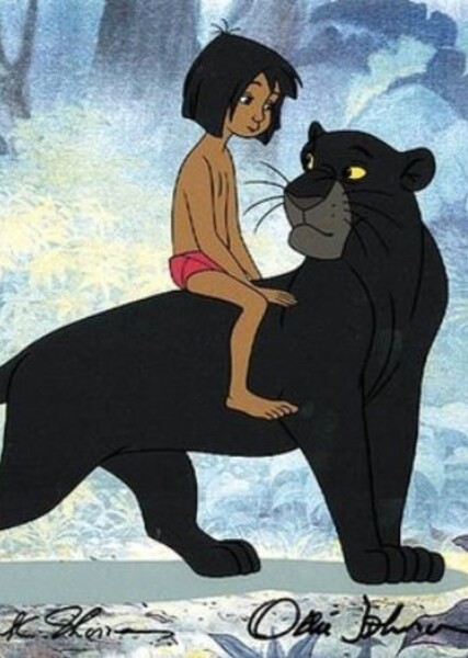Bagheera photo