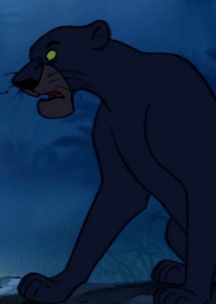 Bagheera photo
