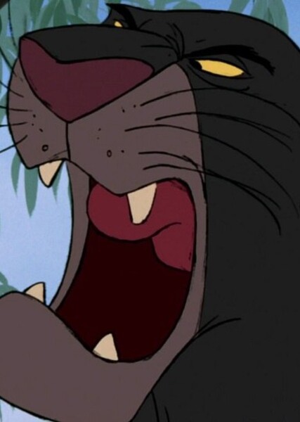 Bagheera photo