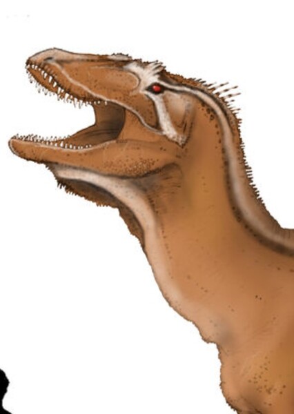 Kaprosuchus Camp