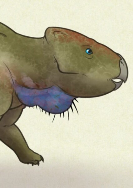 Bainoceratops