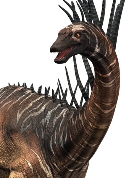 Bajadasaurus photo