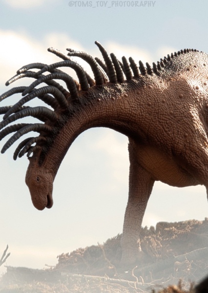 Bajadasaurus photo