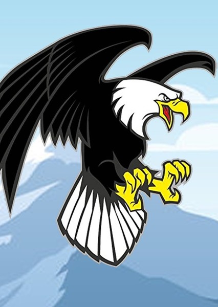 Bald Eagle photo