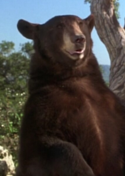Baloo