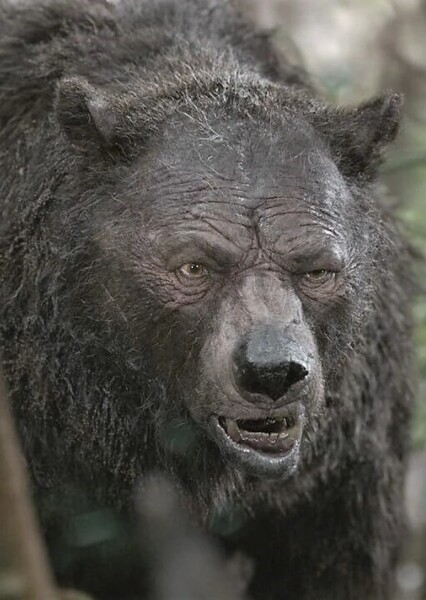 Baloo
