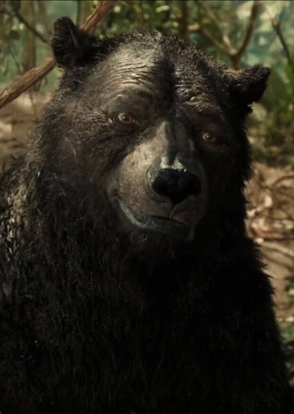 Baloo photo