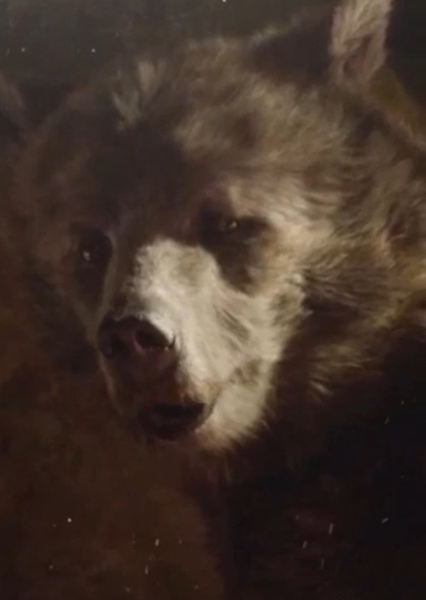 Baloo (2016) photo
