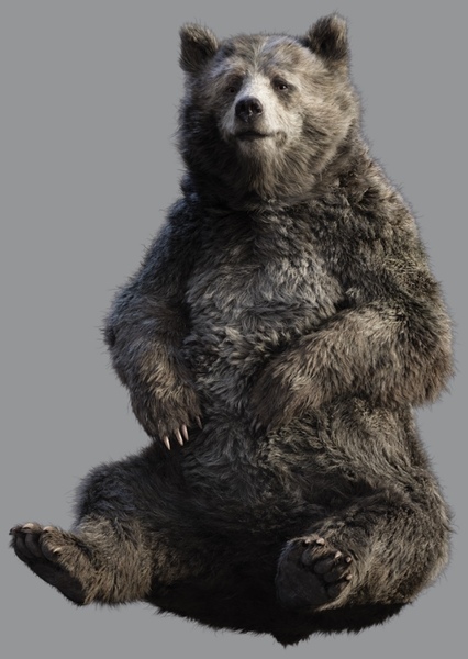 Baloo (2016) photo