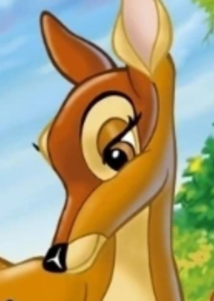 Bambi's Mother photo