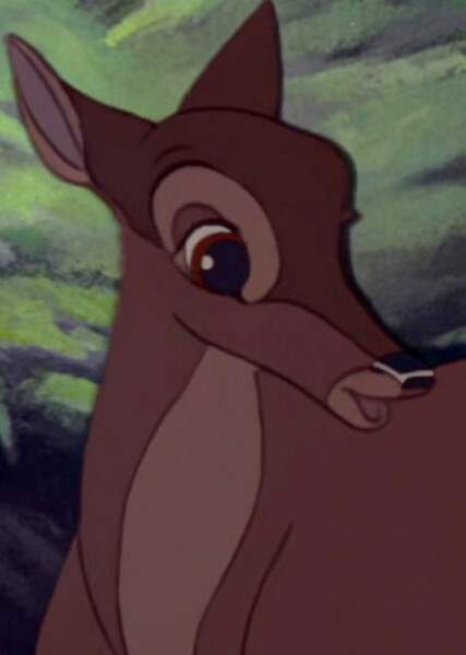 Bambi's Mother photo