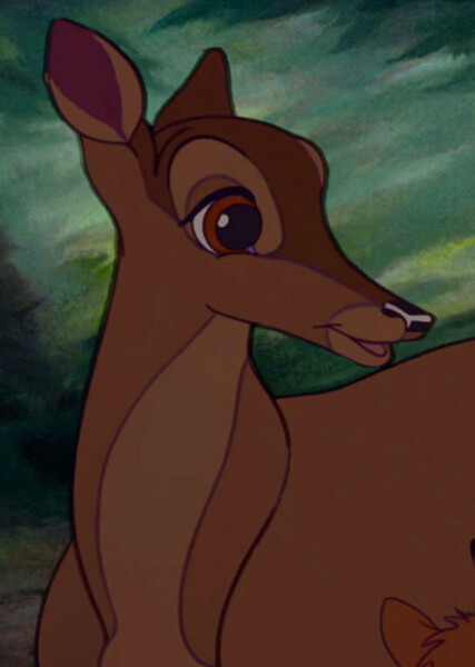 Bambi's Mother photo