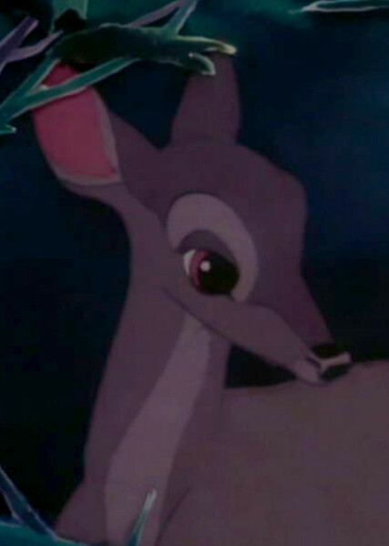 Bambi's Mother photo